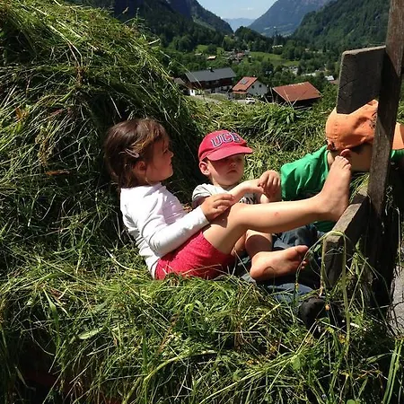 Bauernhof Wildfang * Dalaas