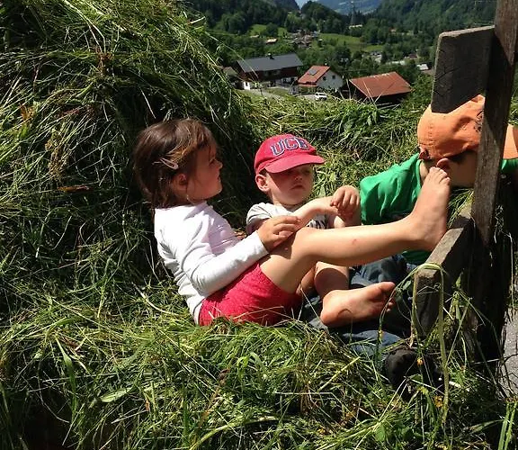 Bauernhof Wildfang * Dalaas