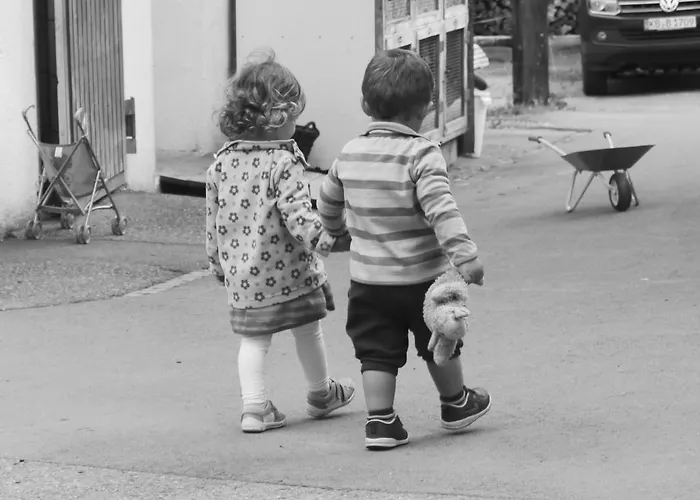 Bauernhof Wildfang Farm stay Dalaas