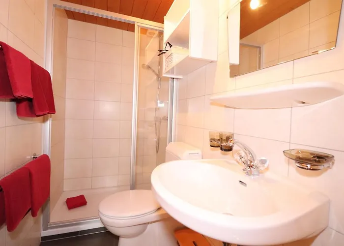 Bauernhof Wildfang Dalaas